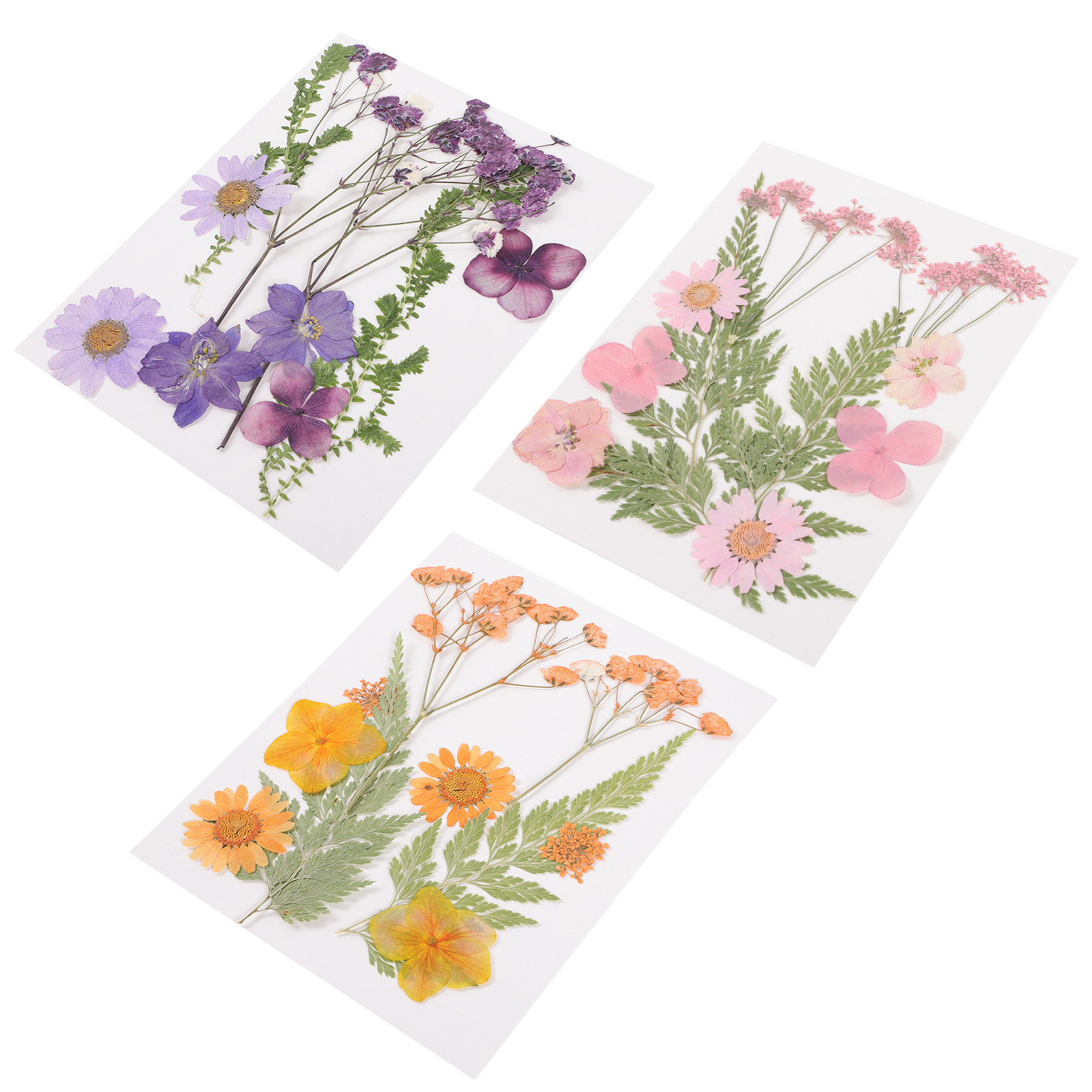 Nail Art Motif - Matériel de décoration en fleurs séchées,